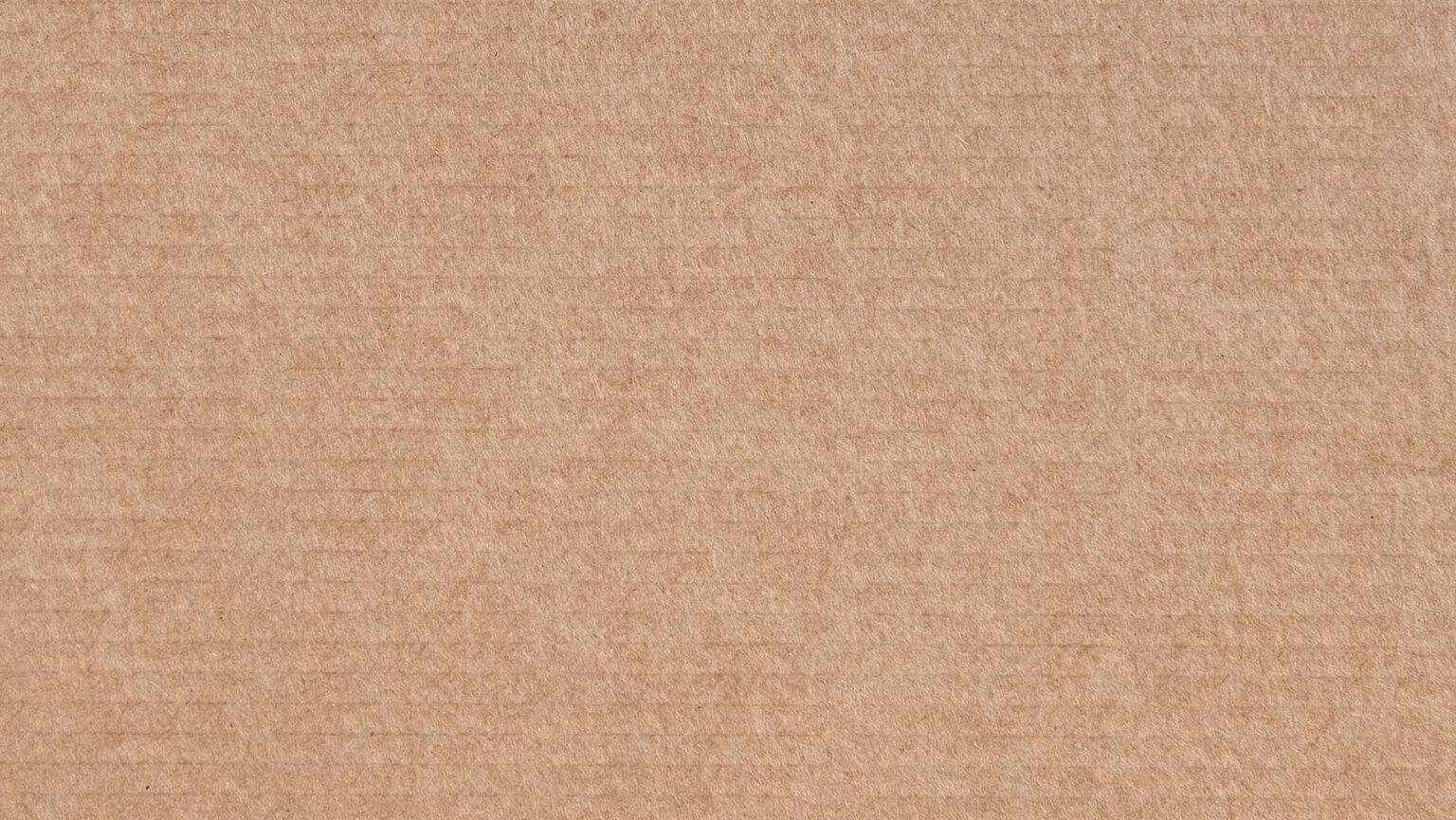 Safety Products Holdings Safety Products Holdings